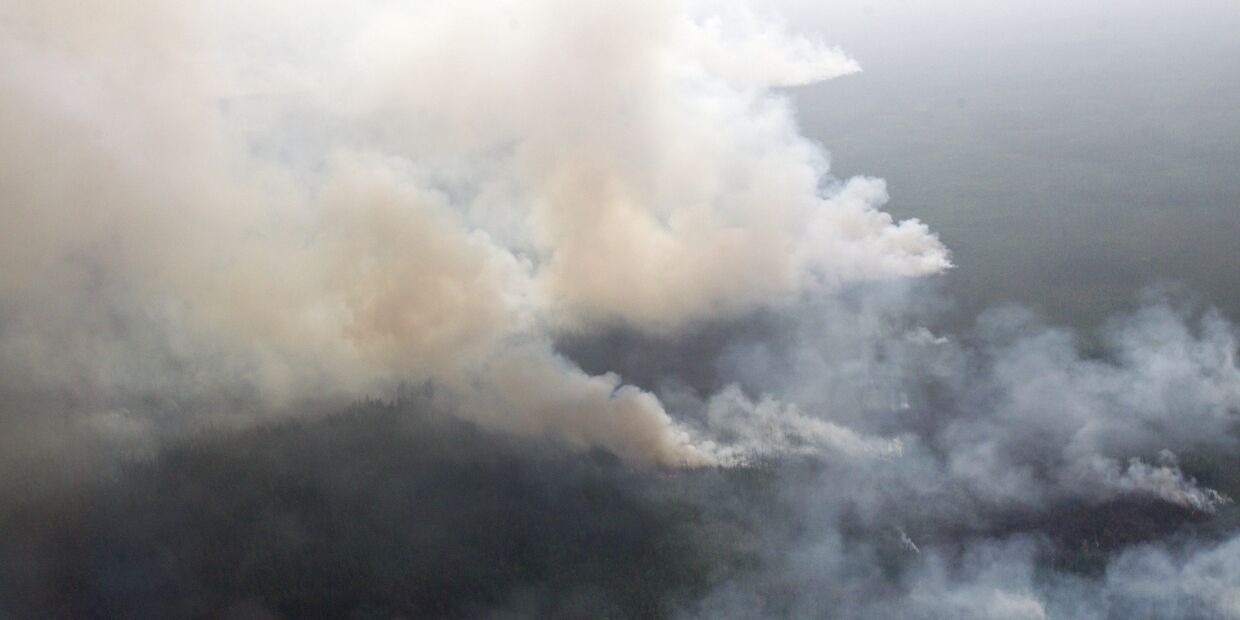 Лесные пожары в Томской области