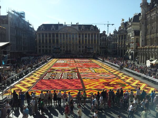 Цветочный ковер на площади Гранд-плас в Брюсселе 