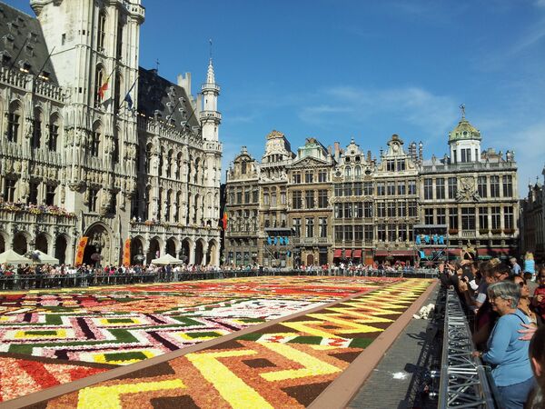 Цветочный ковер на площади Гранд-плас в Брюсселе 