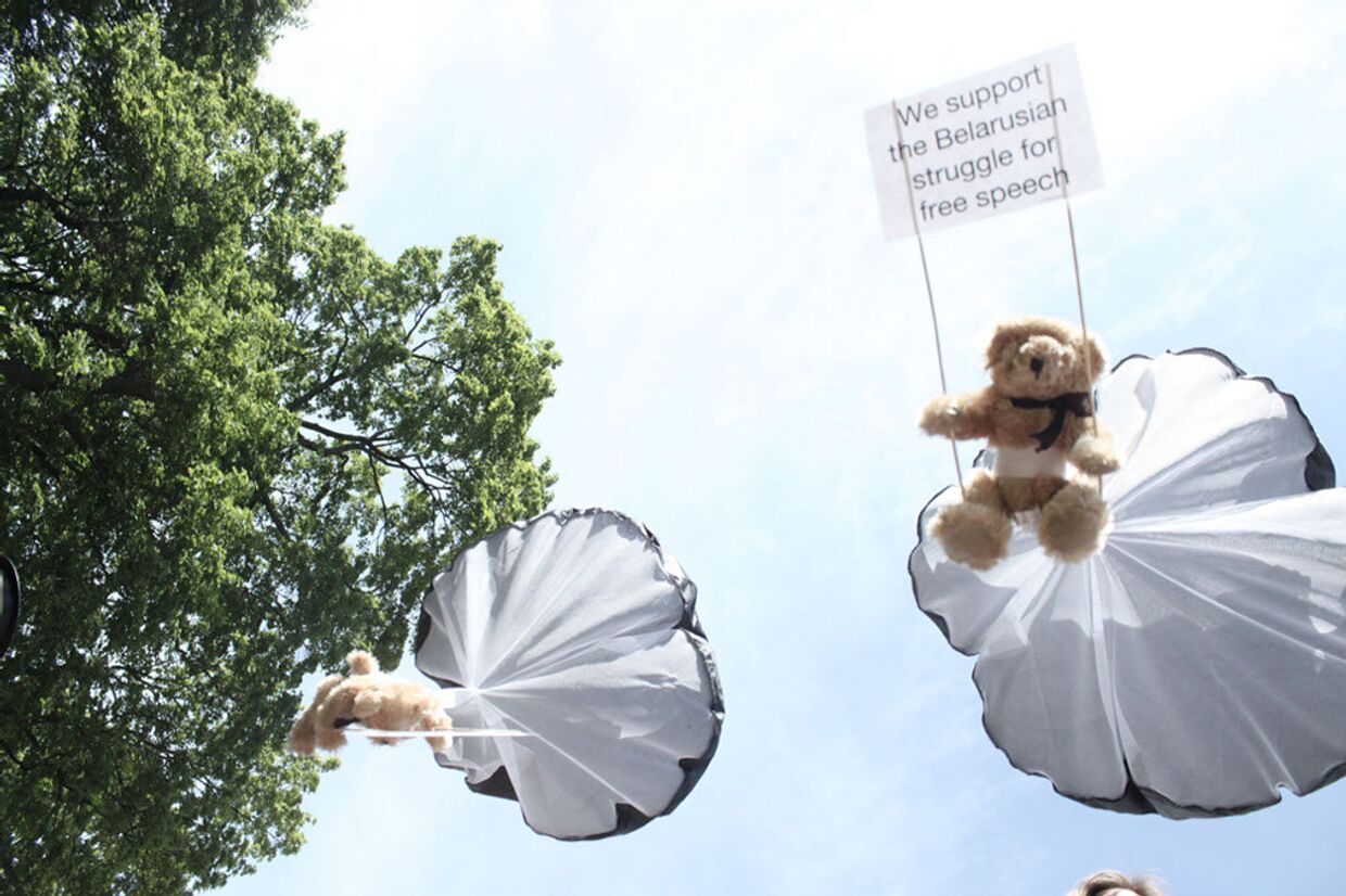 Плюшевые медведи с лозунгами в поддержку защиты свободы слова 
