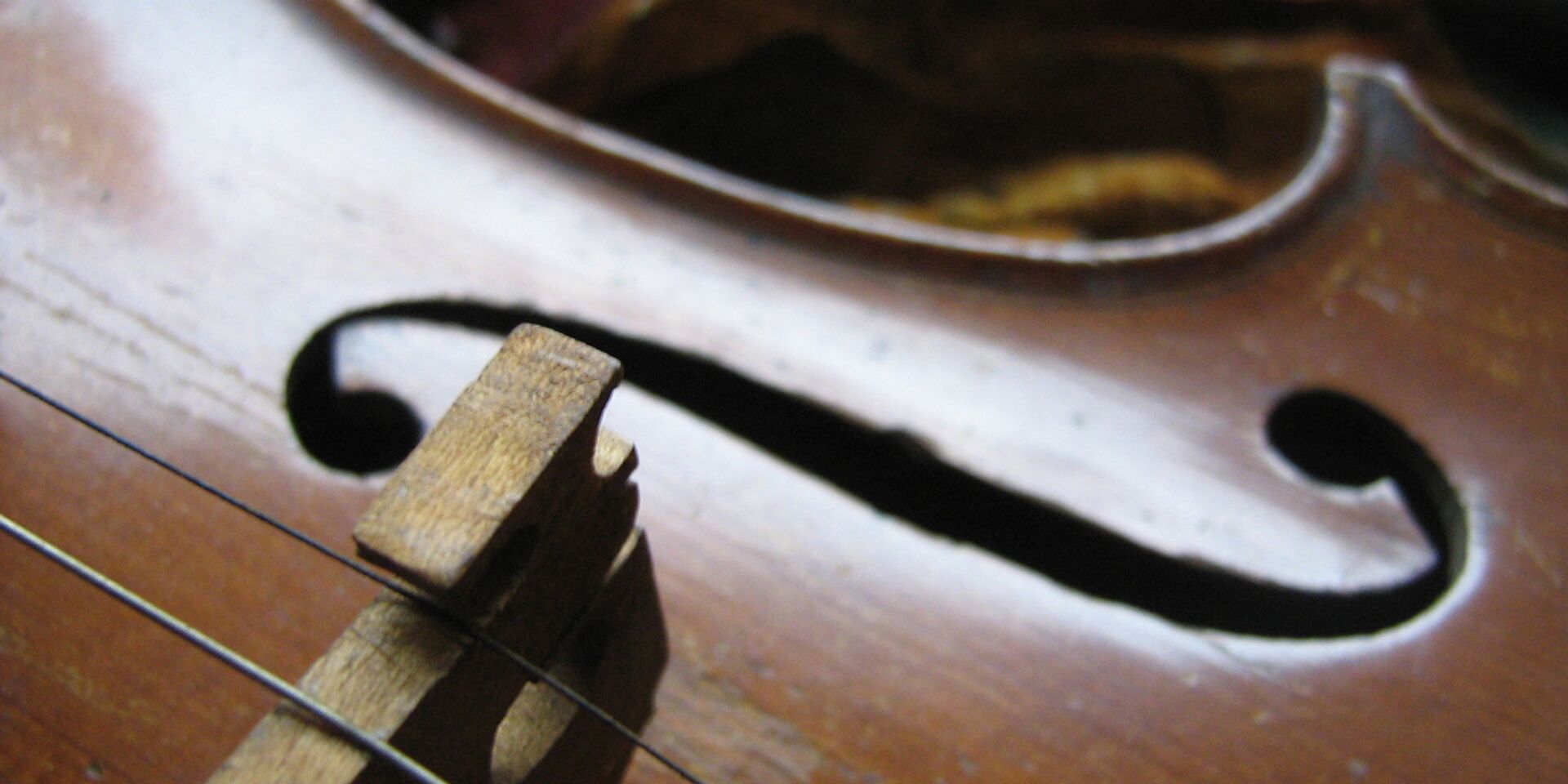 Скрипка - ИноСМИ, 1920, 20.05.2022