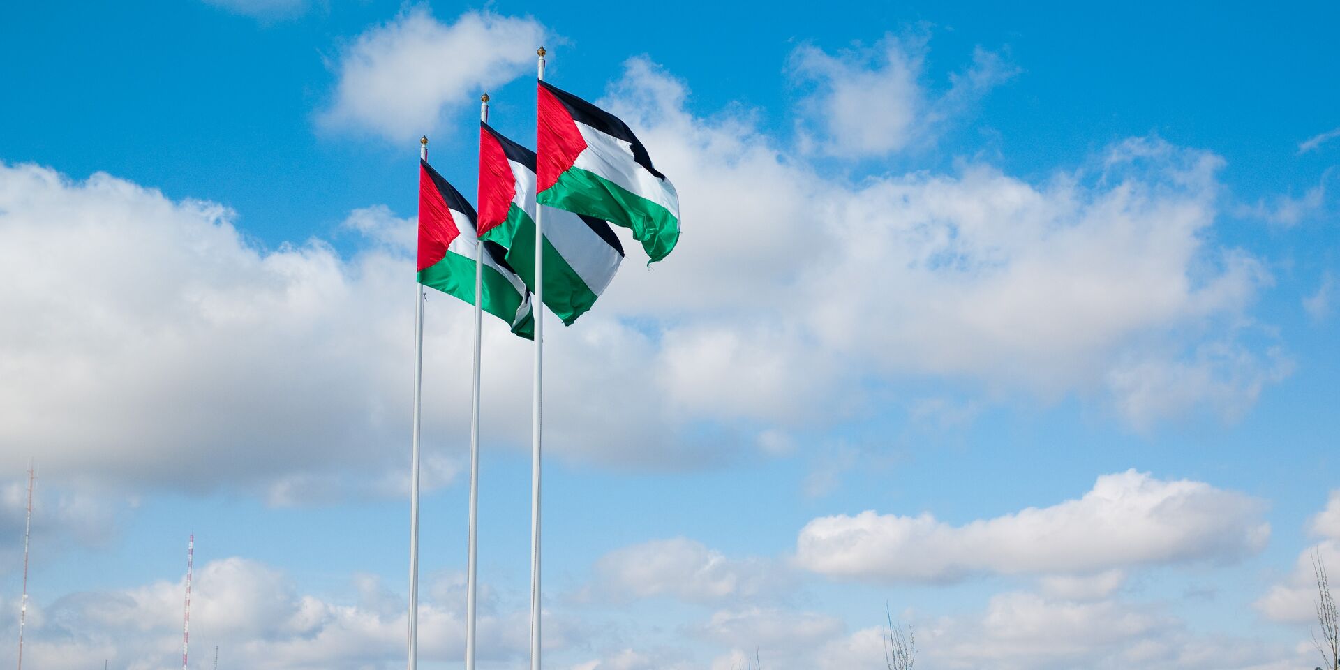 Флаги Палестины - ИноСМИ, 1920, 06.02.2023