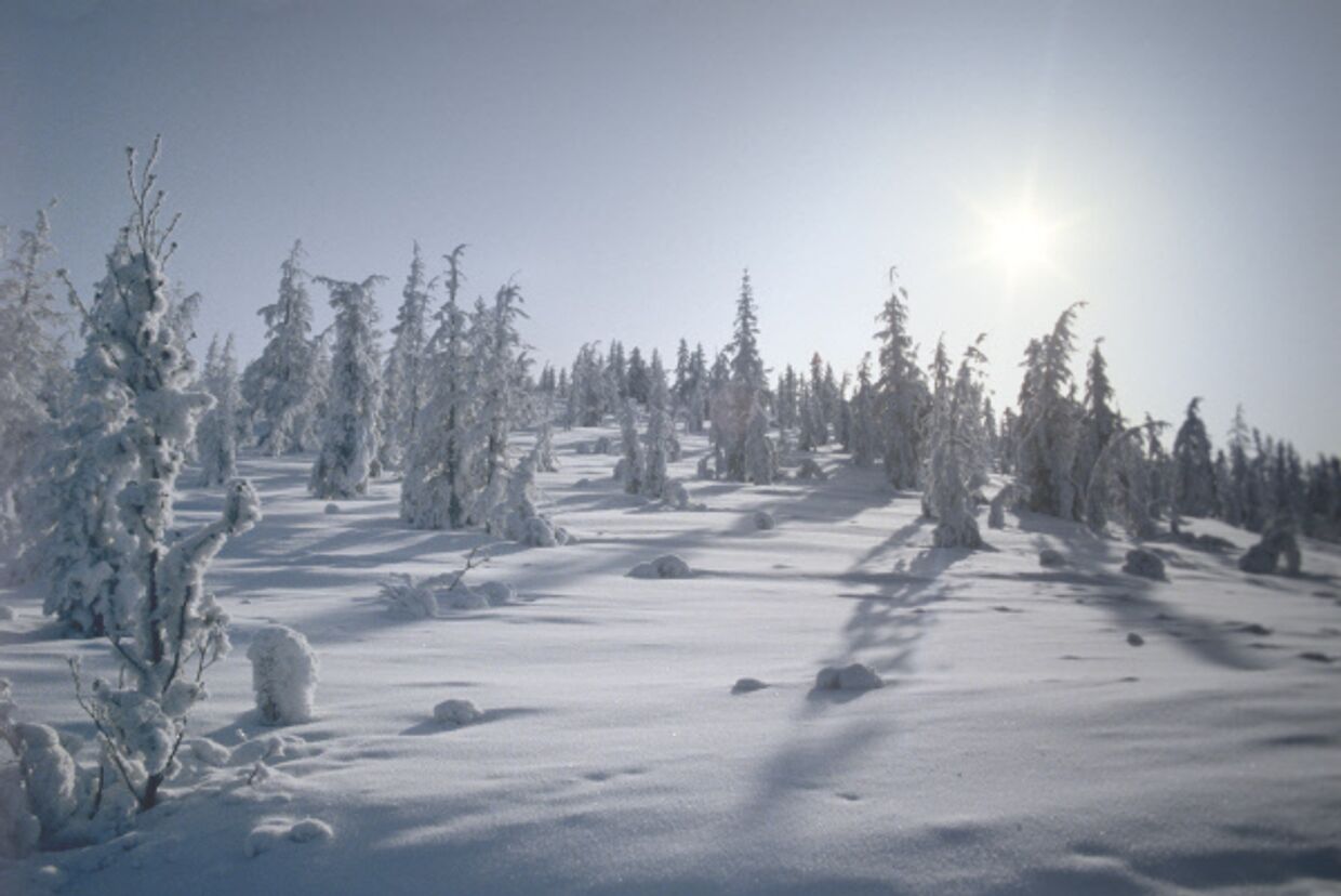 Зима в селе Оймякон, Якутия