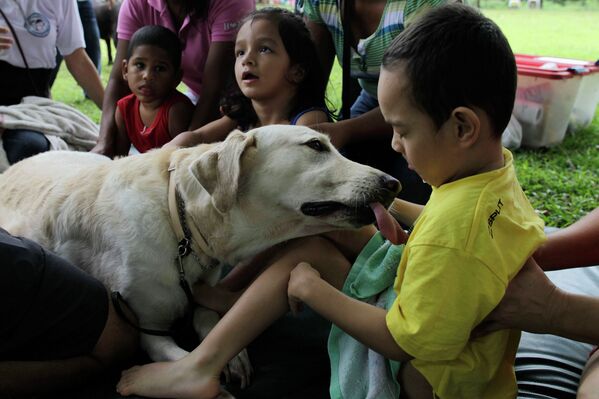 Дети, больные детским церебральным параличем, играют со специально обученной собакой