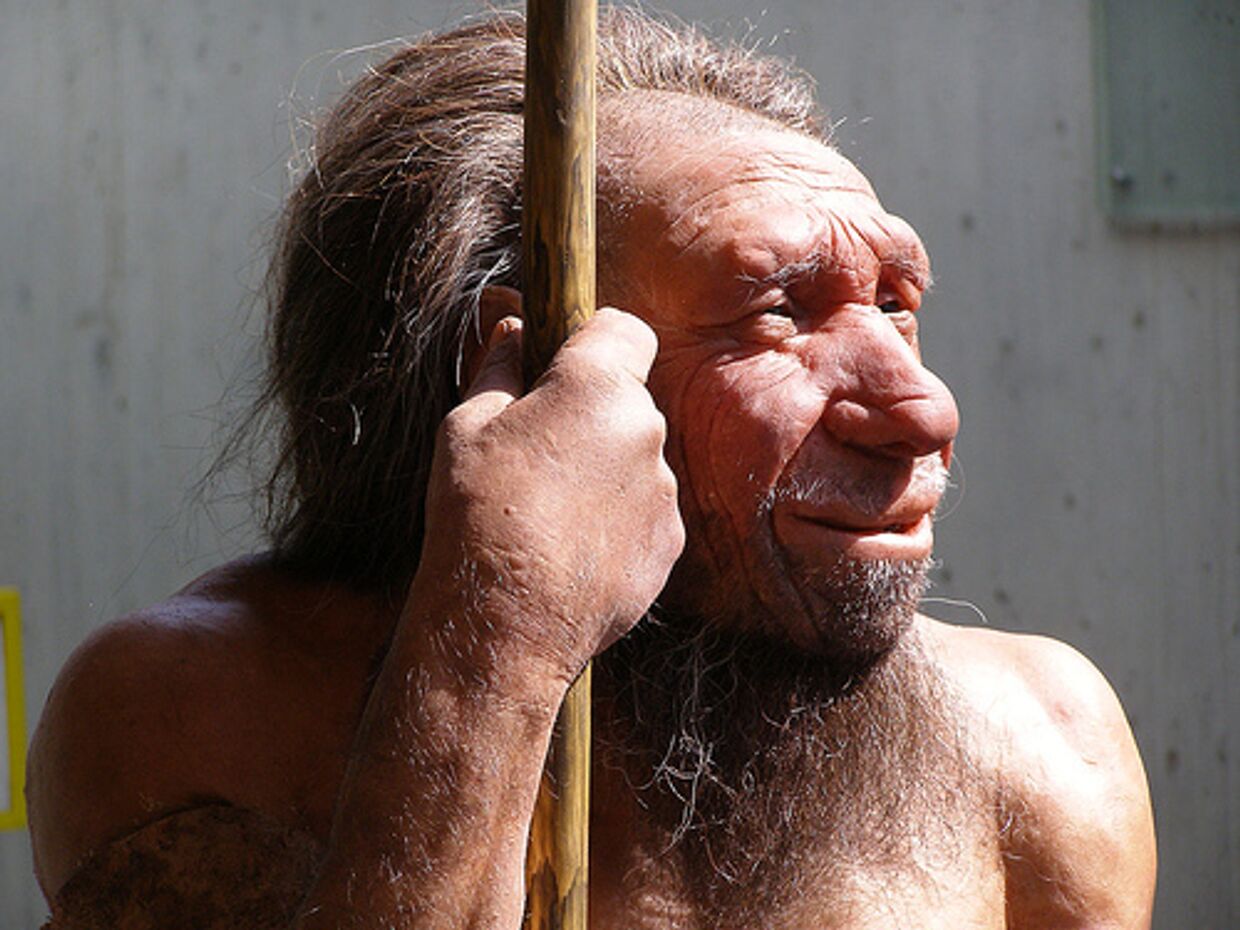 Внешний вид неандертальца, воссозданный учеными по обнаруженным костям