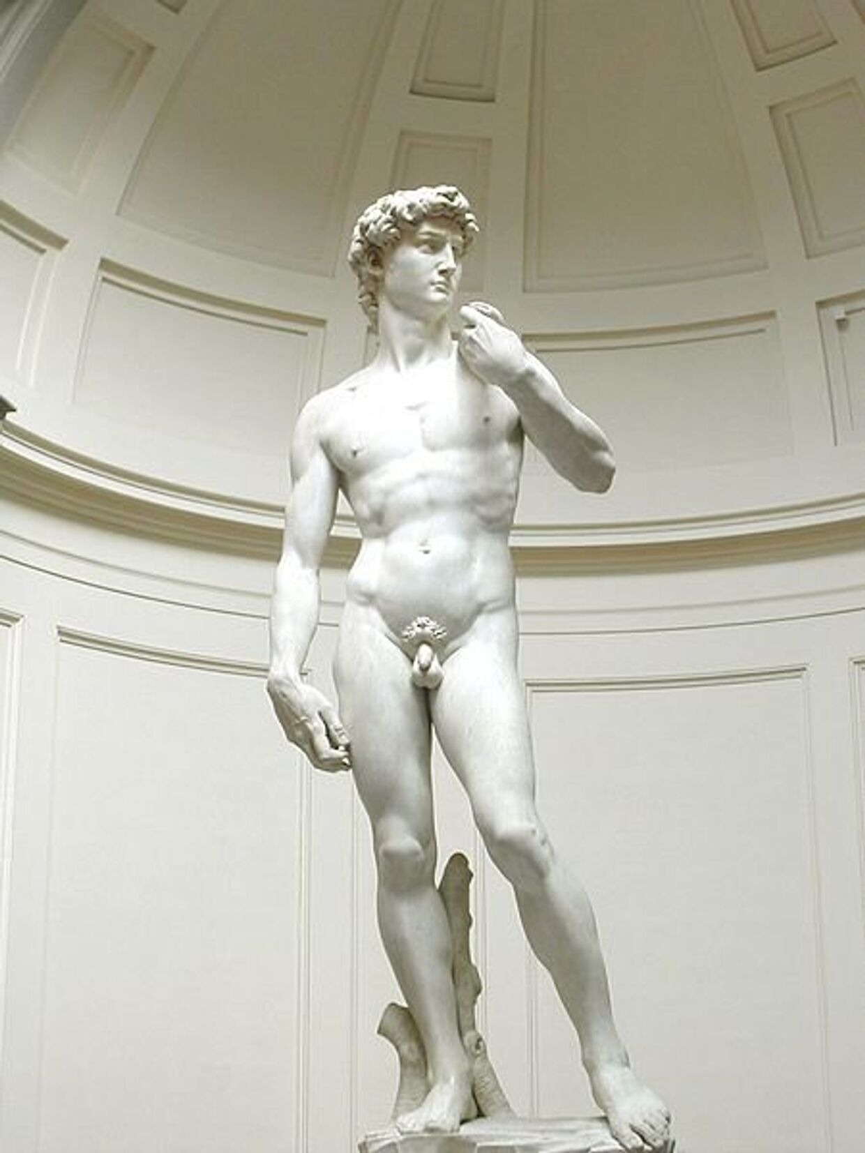 Давид — мраморная статуя работы Микеланджело