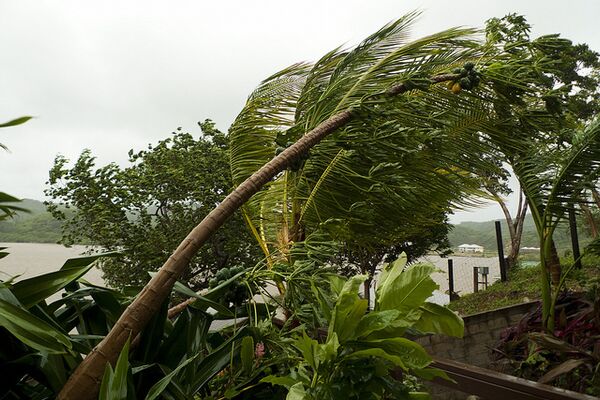 Ураган «Фифи» в Гондурасе