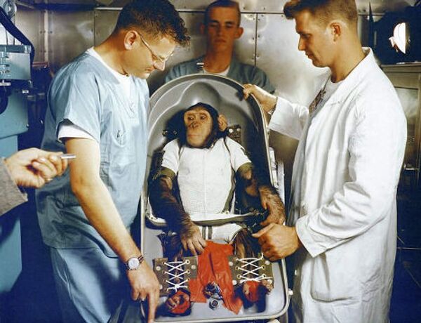 Первый шимпанзе-астронавт Хэм