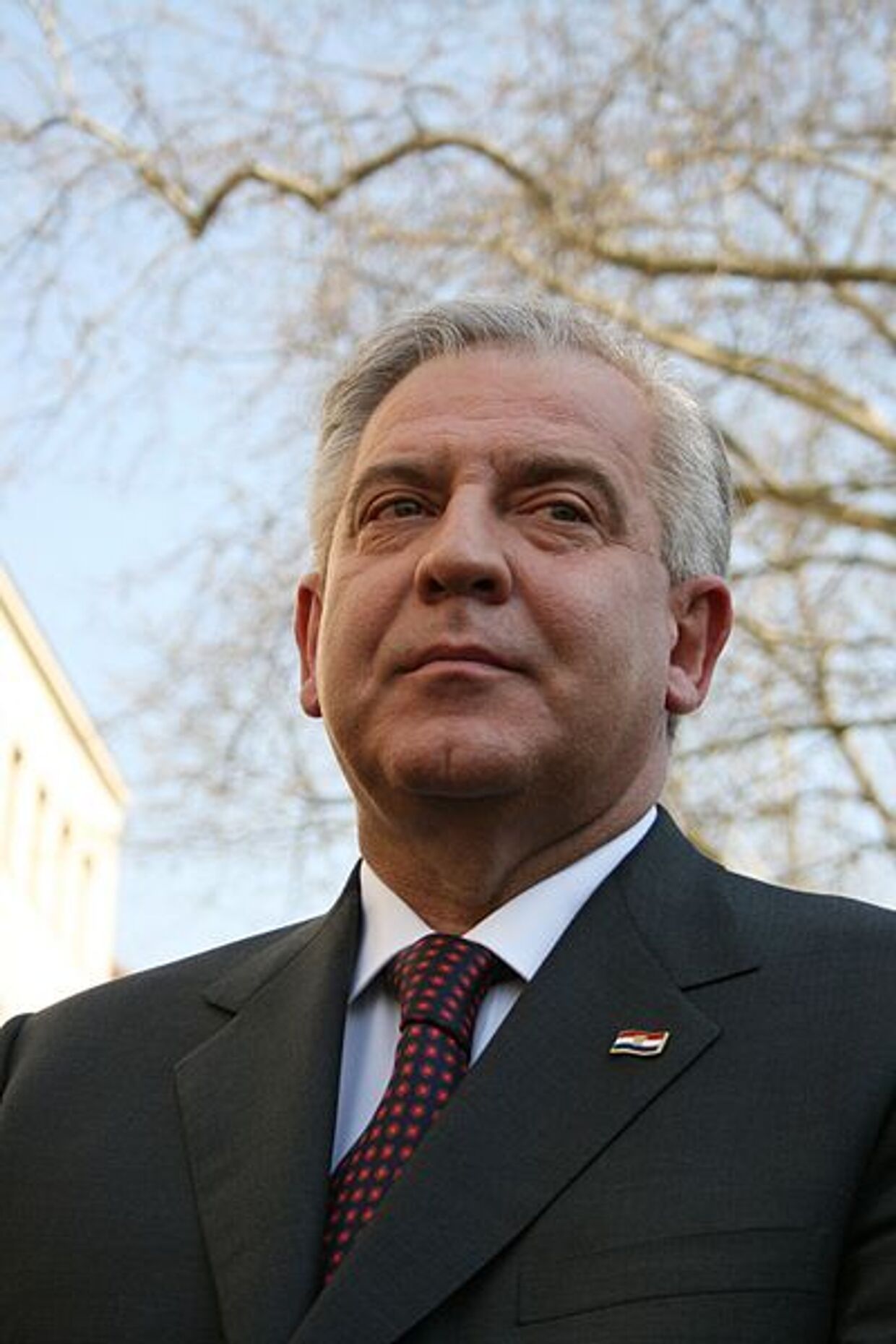 Иво Санадер, хорватский политический деятель