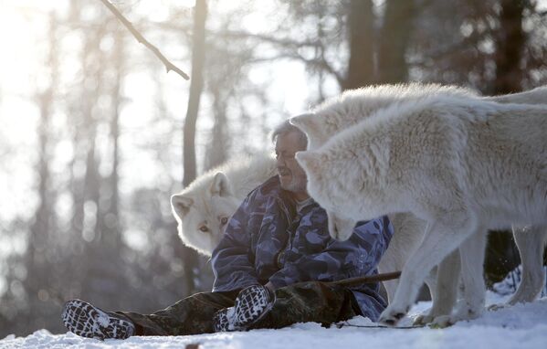 Исследователь Вернер Фройнд с полярными волками