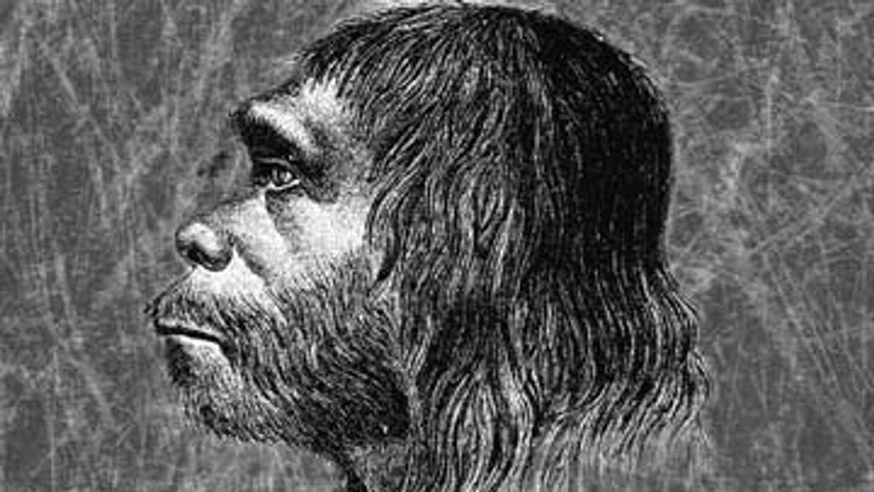 Один из первых обликов неандертальца