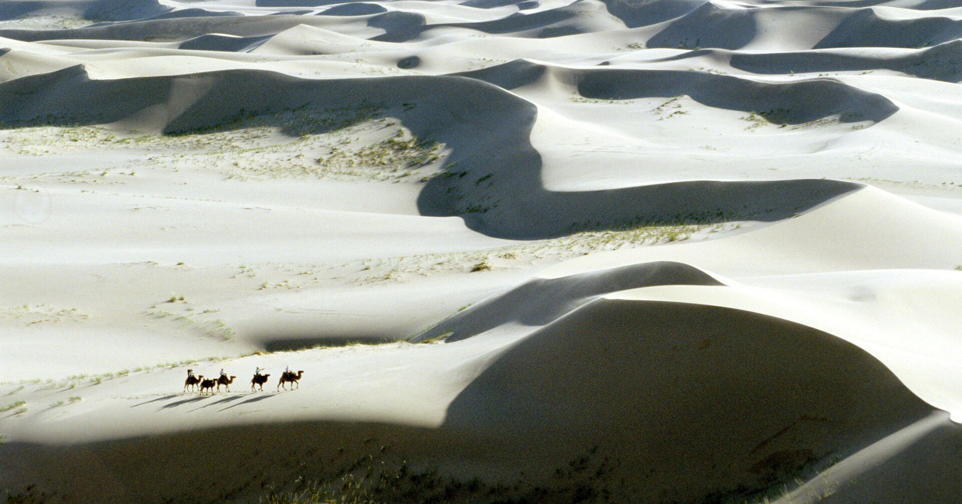 Пустыня Гоби - ИноСМИ, 1920, 08.10.2020