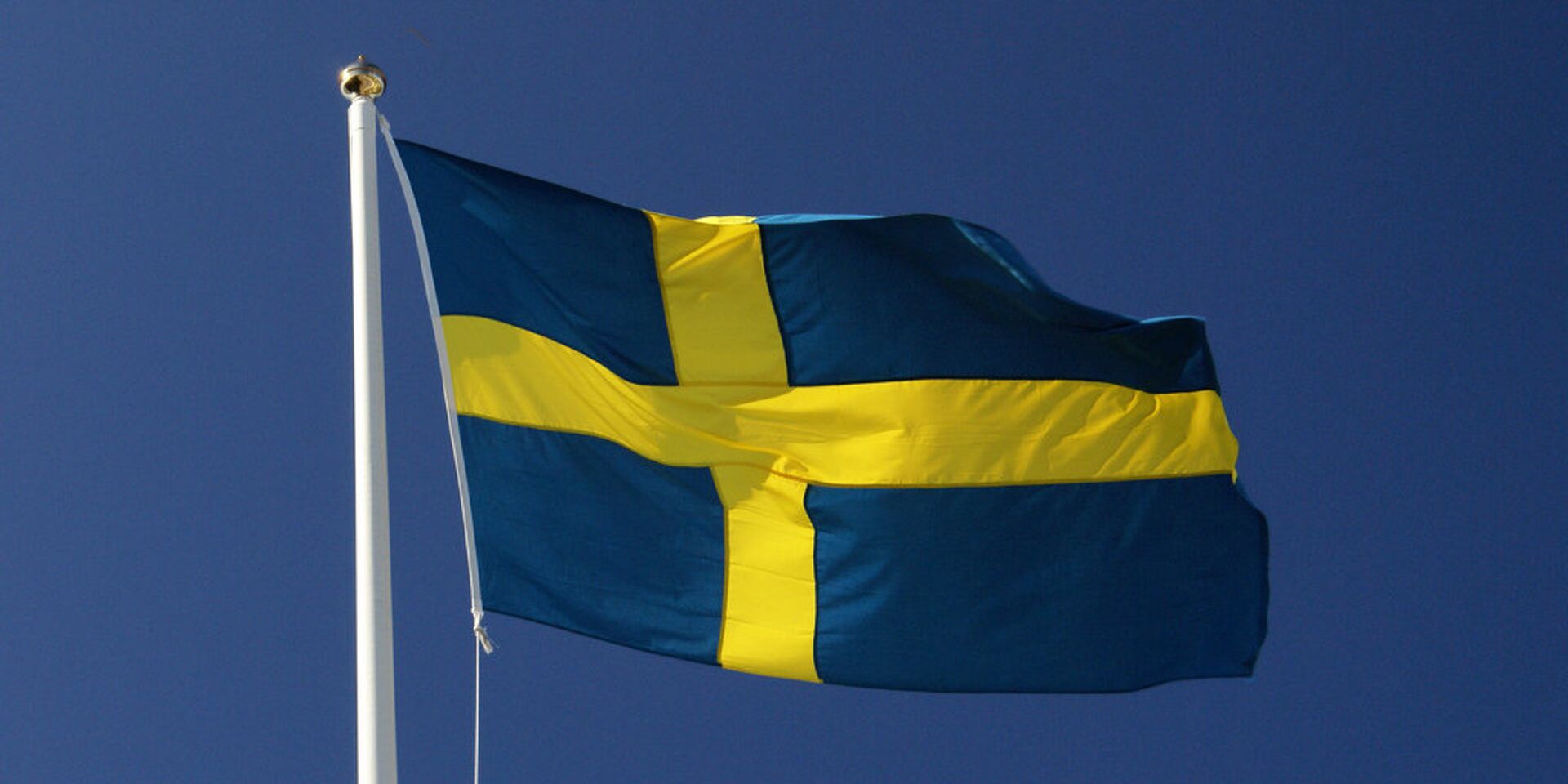 Шведский флаг - ИноСМИ, 1920, 25.06.2023