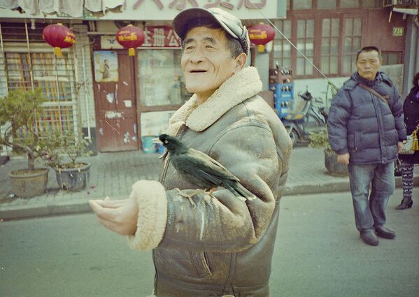 Шанхай: хозяин и его дрозд