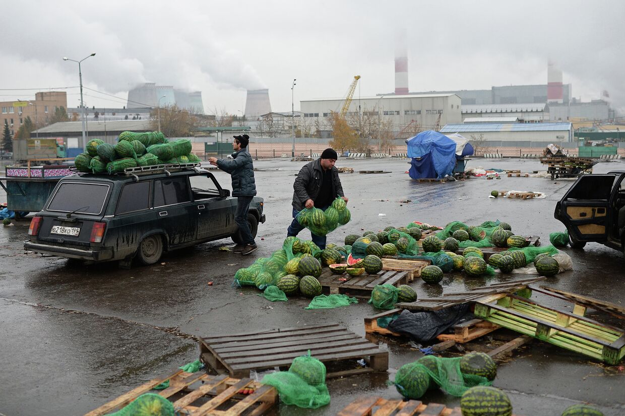 Вывоз товара с овощебазы «Новые Черемушки» в Бирюлево