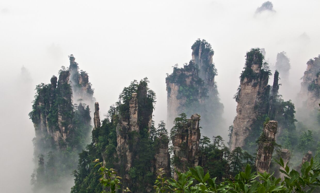 Горы Тяньцзи в Китае