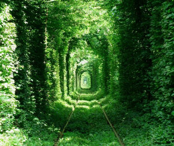 Туннель любви в Украине