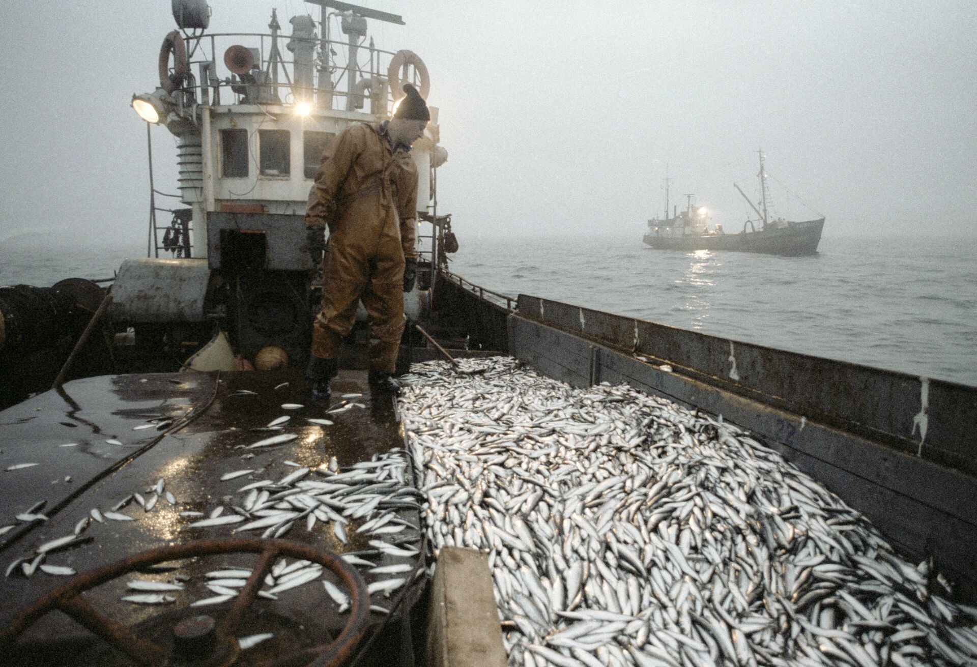 Ловля кильки. Охотское море рыболовство. Мурманск рыбный промысел. Балтийское море рыболовный промысел. Балтийское море рыбный промысел.