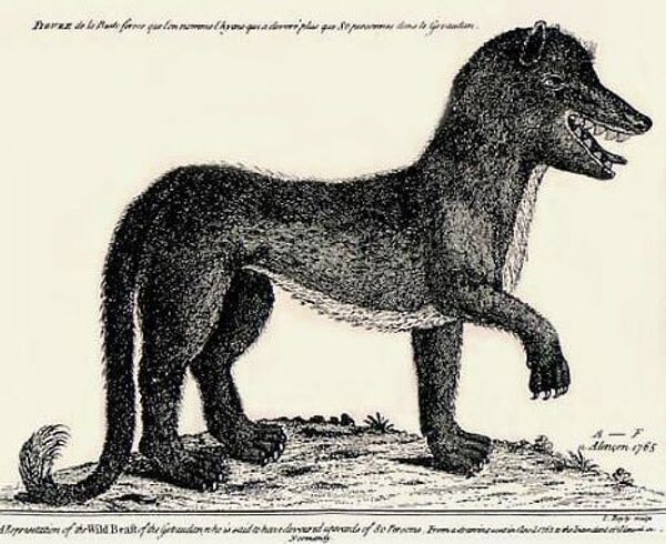 Гравюра 18-го века, изображающая Жеводанского Зверя