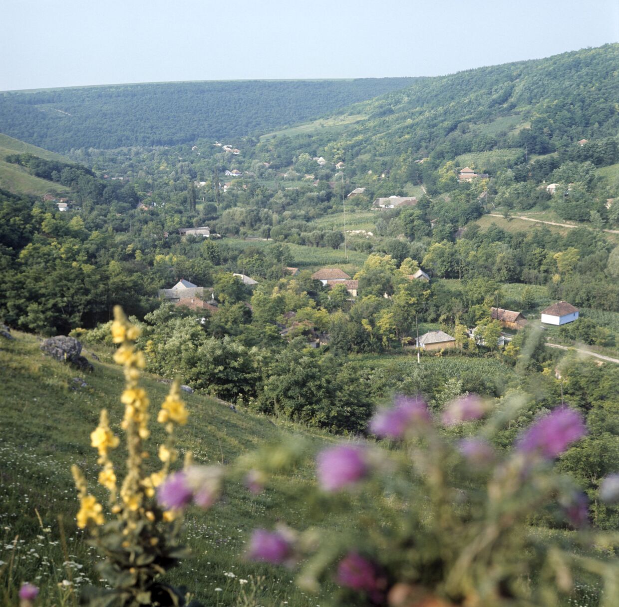 Вид на село Наславча