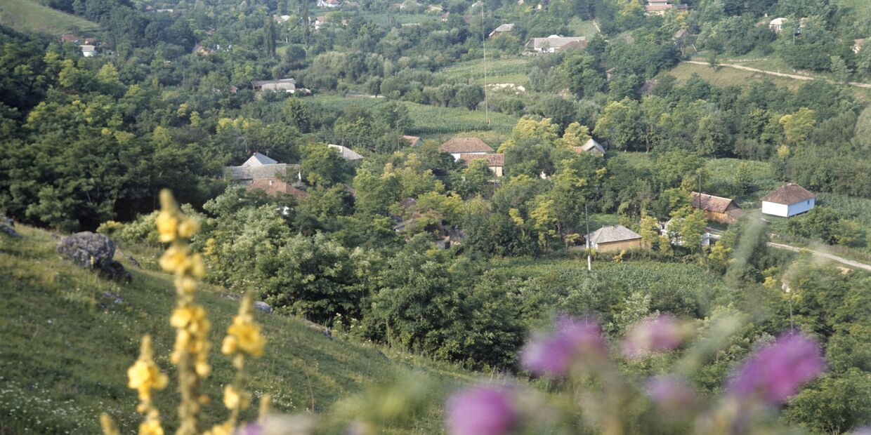 Вид на село Наславча Вид на село Наславча