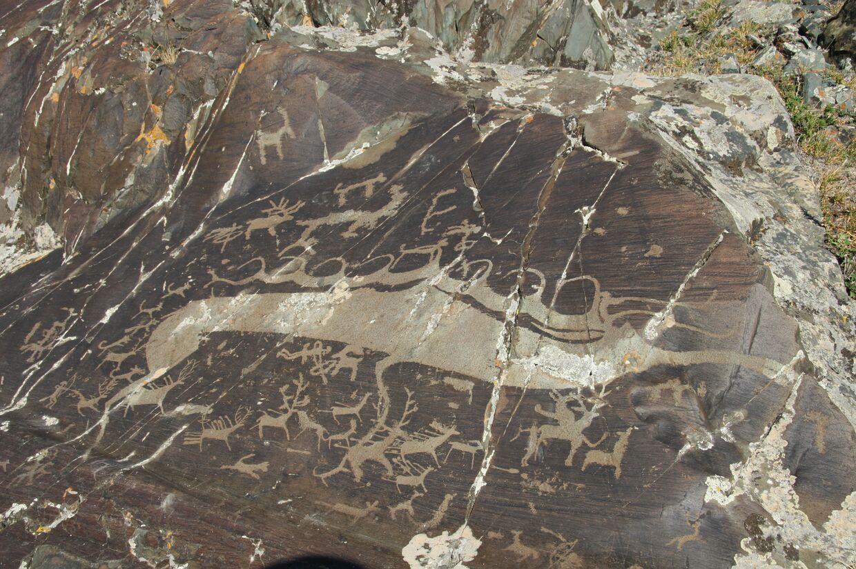 Один из петроглифов Цаган-Сала в Монголии