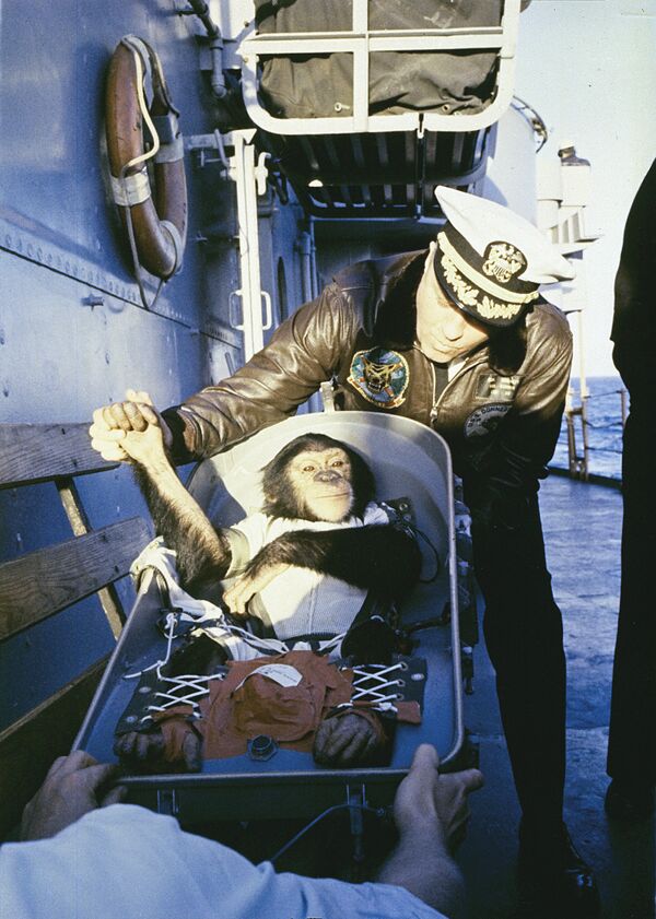 Рукопожатие командира корабля США и только что приводнившегося после суборбитального полёта шимпанзе Хэма 31 января 1961 года