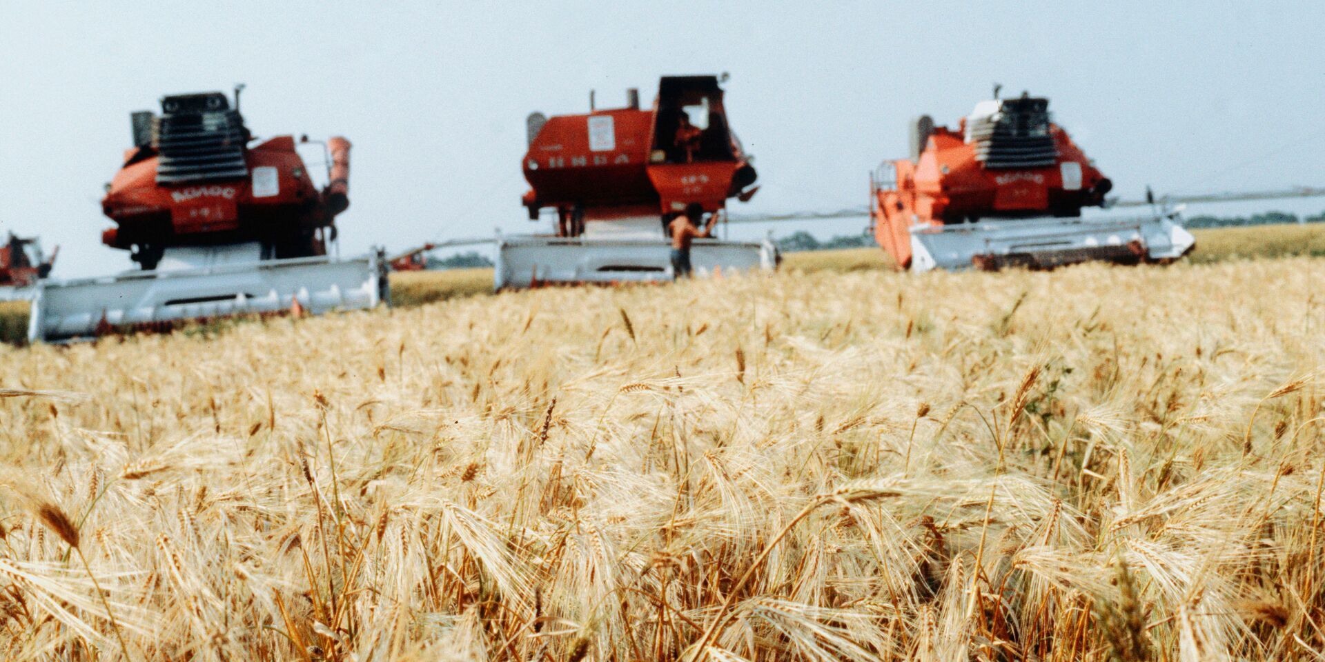 Жатва пшеницы - ИноСМИ, 1920, 18.04.2023