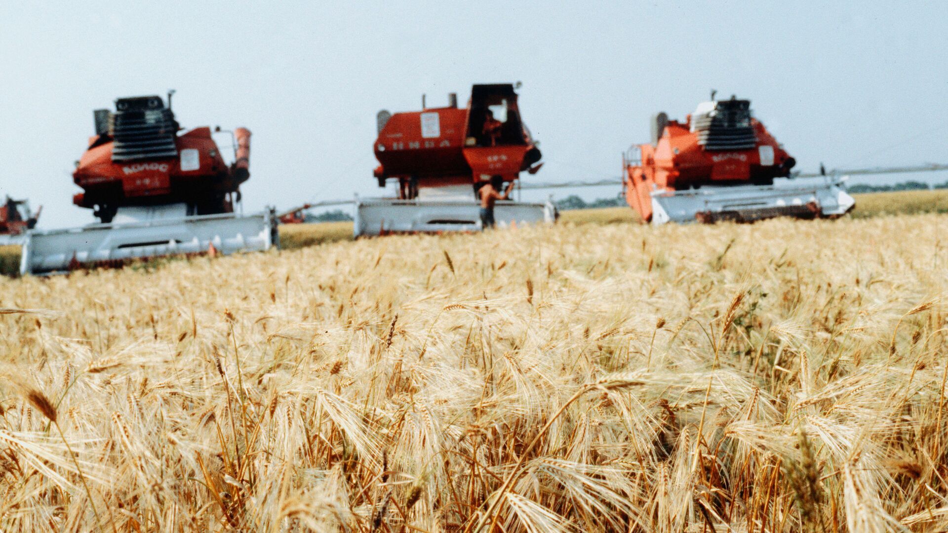 Жатва пшеницы - ИноСМИ, 1920, 18.04.2023