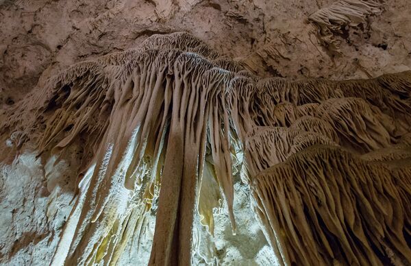 Карлсбадские пещеры, Нью-Мехико