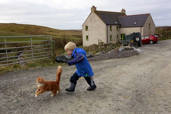 Пятилетний Роан играет с котом, Шетландские острова