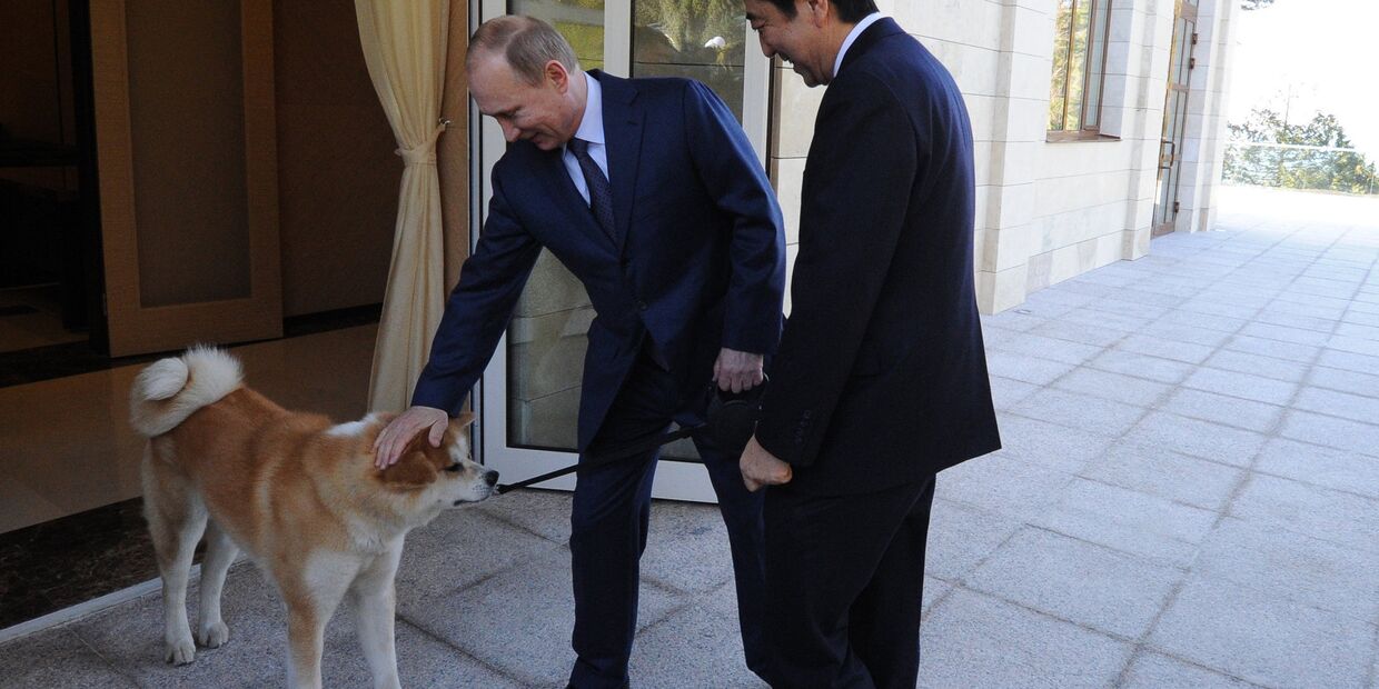 В.Путин встретился с С.Абэ