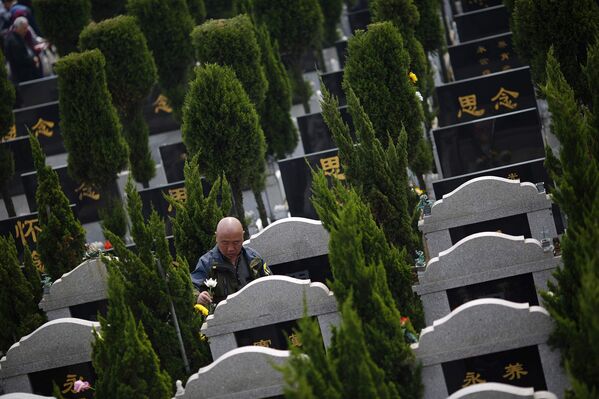 Мужчина кладет цветок на надгробие во время праздника Цинмин в Шанхае