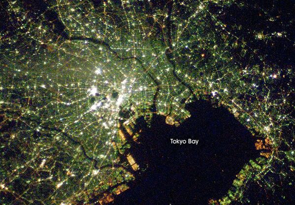 Космический снимок Токио и Токийского залива