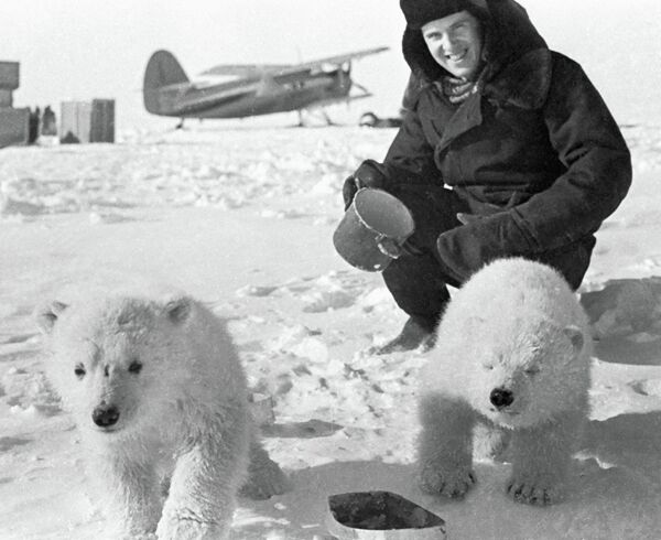 Белые медведи на дрейфующей станции Северный полюс-19