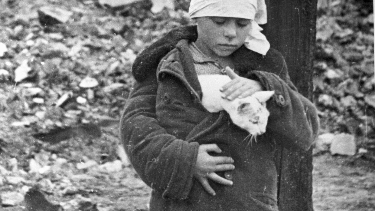 Девочка с котенком возле разрушенного дома