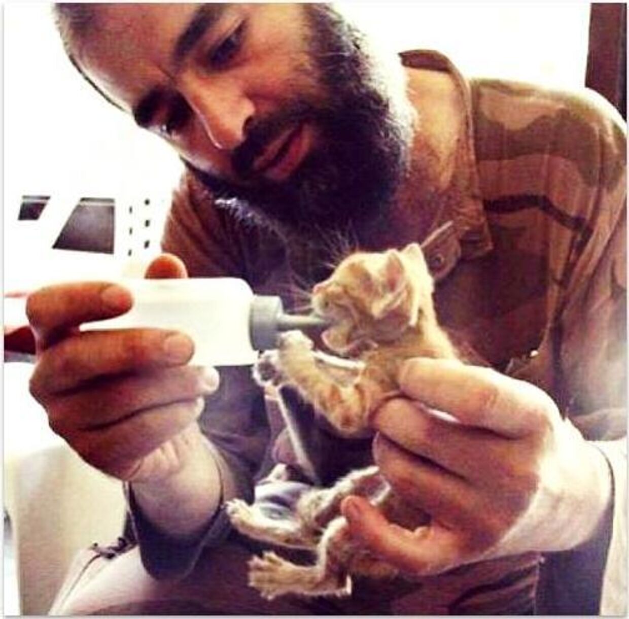 Сирийский повстанец кормит котенка