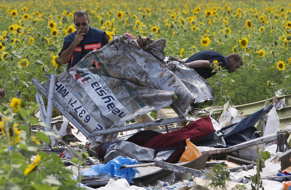 Обломки самолета MH17 Малайзийских авиалиний, разбившегося под Донецком