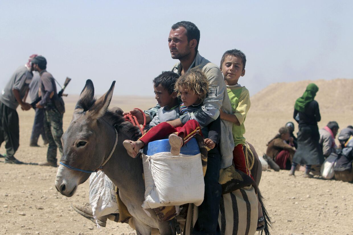 Беженцы-езиды на границы Ирака и Сирии