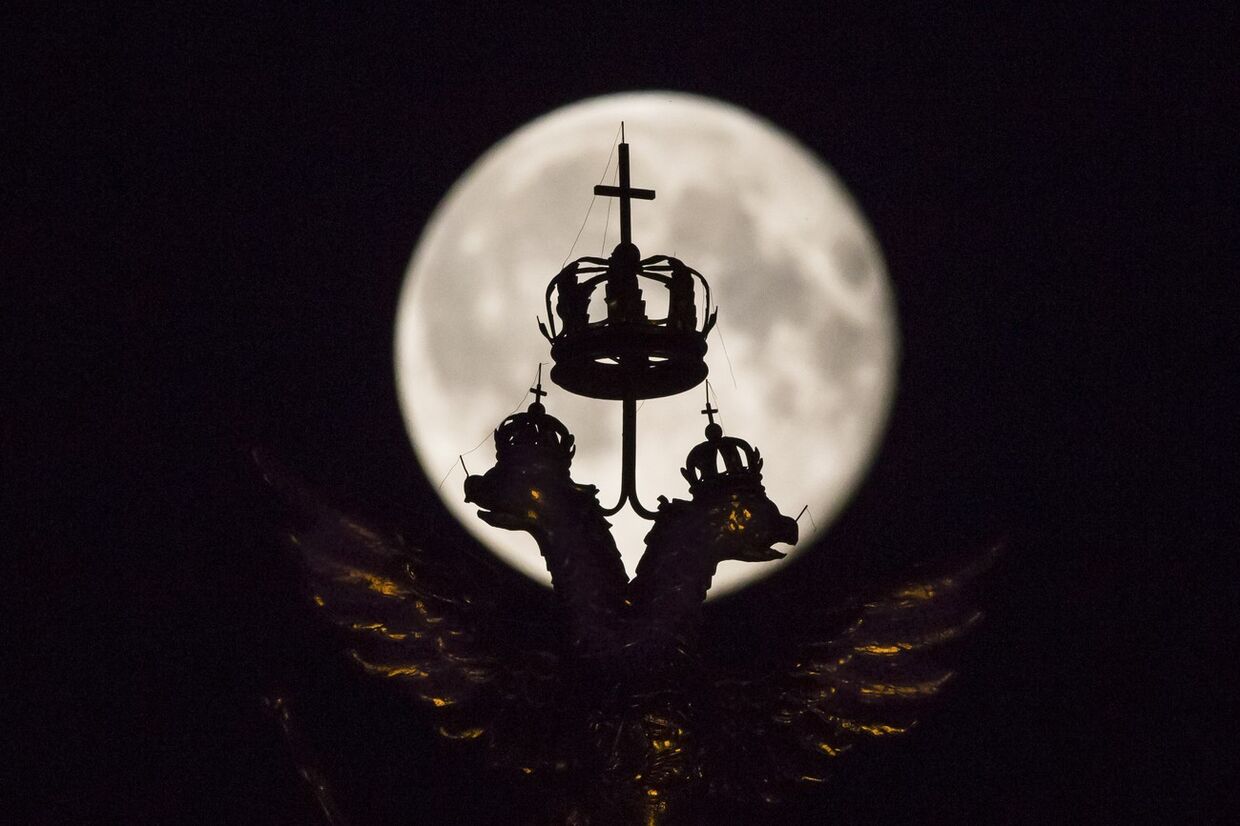 Двуглавый орел на фоне полной луны во время суперлуния