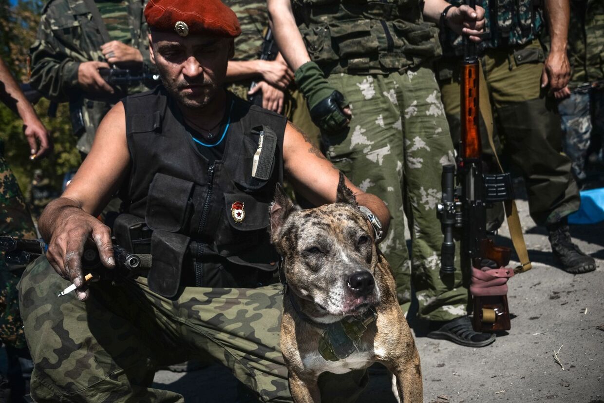 Ополченец в Донецке с собакой по имени Девка