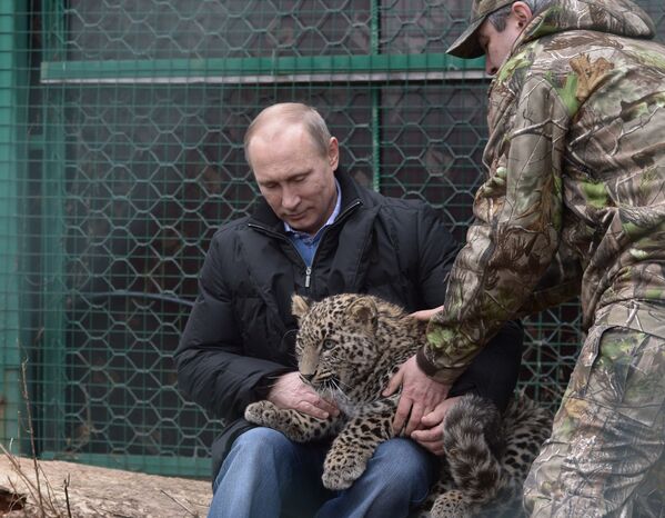 Путин посетил Центр разведения и реабилитации леопарда в Сочи
