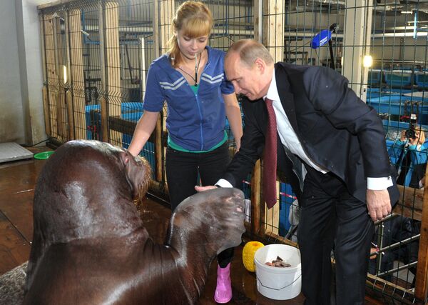 Рабочая поездка Путина в Приморский край. День третий
