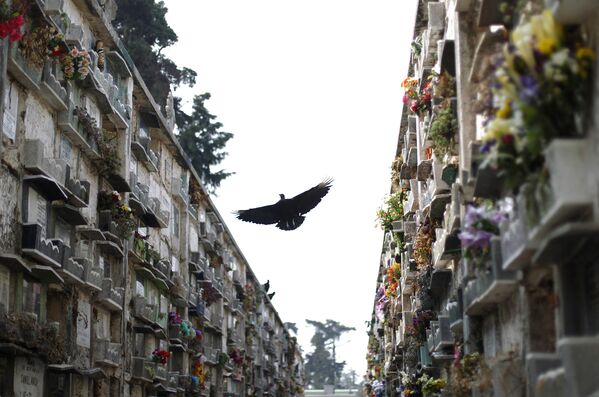 Перезахоронение на главном кладбище Гватемалы