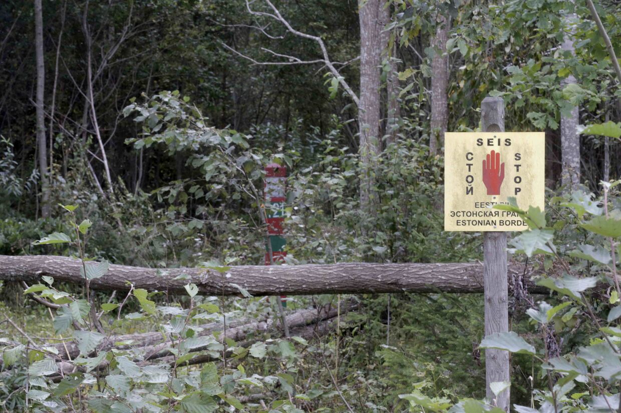 Лес у российско-эстонской границы, где был похищен следователь Капо Эстон Кохвер