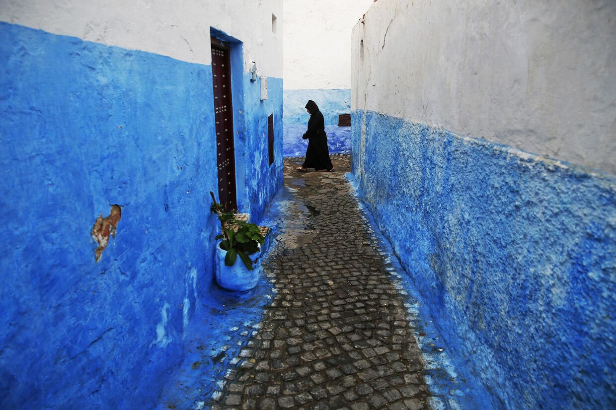 Выкрашенные в традиционный синий цвет стены домов в районе Рабата Касба Удайя