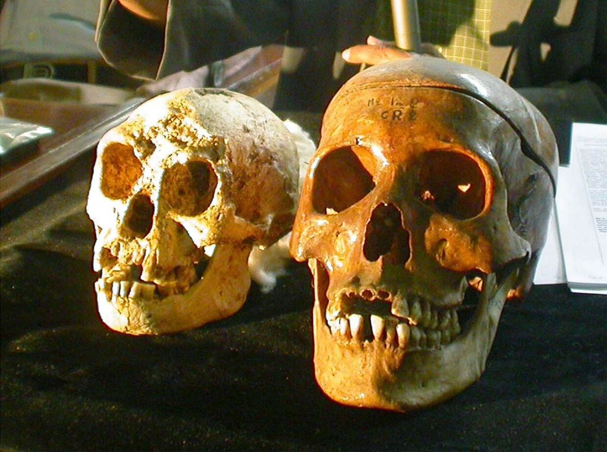 Череп флоресского человека (слева) и современного человека