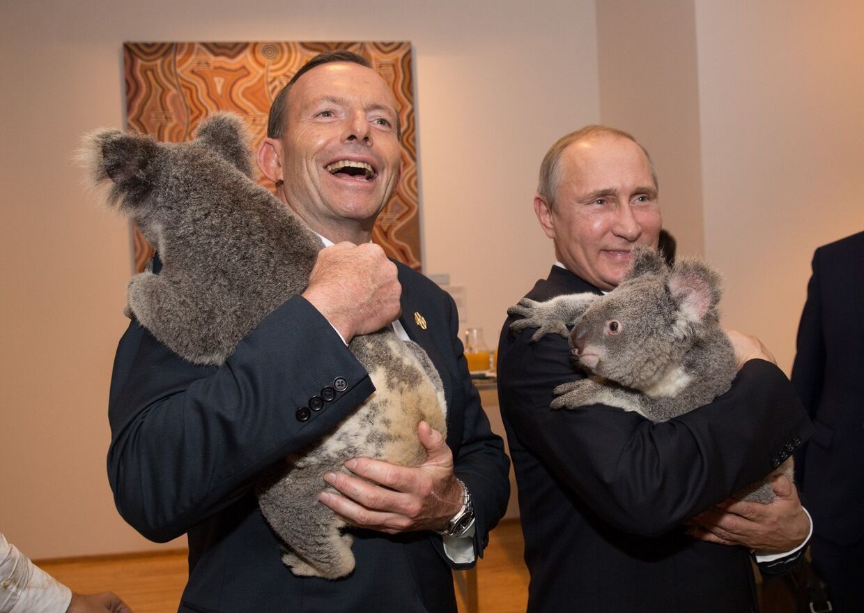 Коалы на руках у Владимира Путина и Тони Эботта, саммит G20 в Астралии