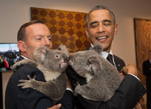 Коалы на руках у Барака Обамы и Тони Эботта, саммит G20 в Астралии