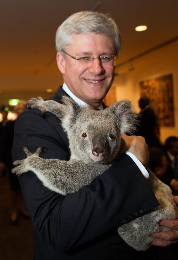Премьер-министр Канады Стивен Харпер с коалой на руках на саммите G20 в Австралии